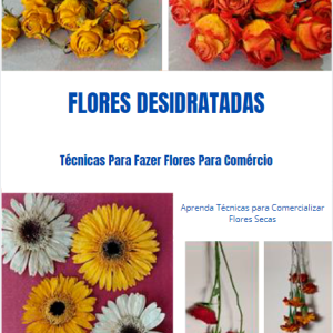 curso de flores desidratadas